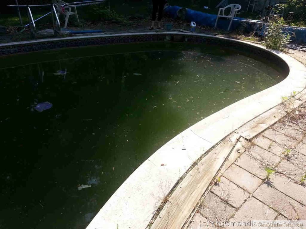 A badly neglected pool