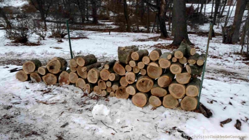 Logs stacked for firewood