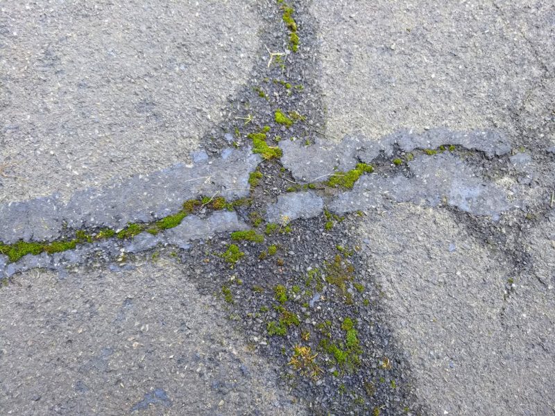 Driveway cracks prior to cleaning