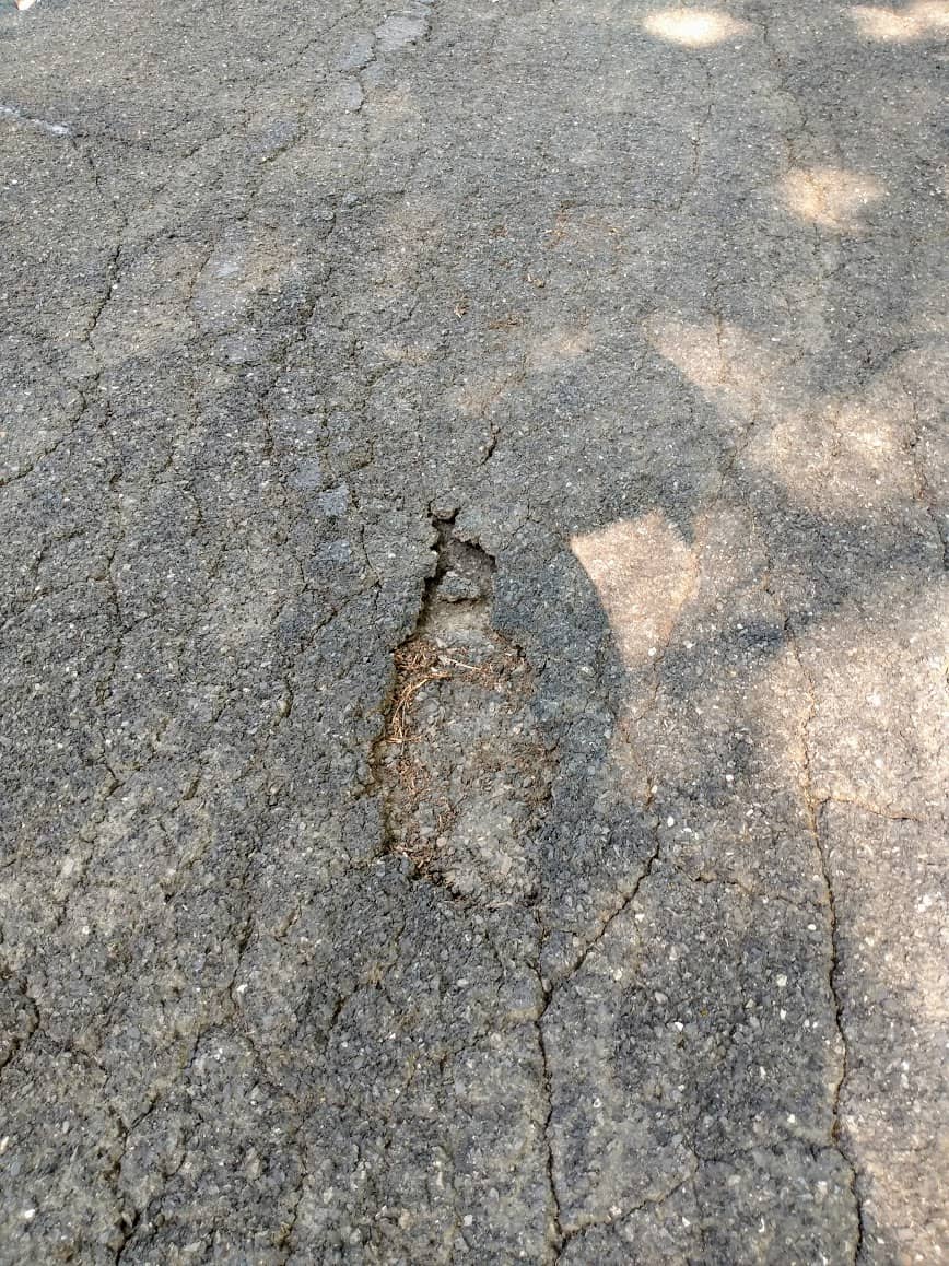 Sealing a worn asphalt driveway – Part 4 – Crack and Pothole Filling