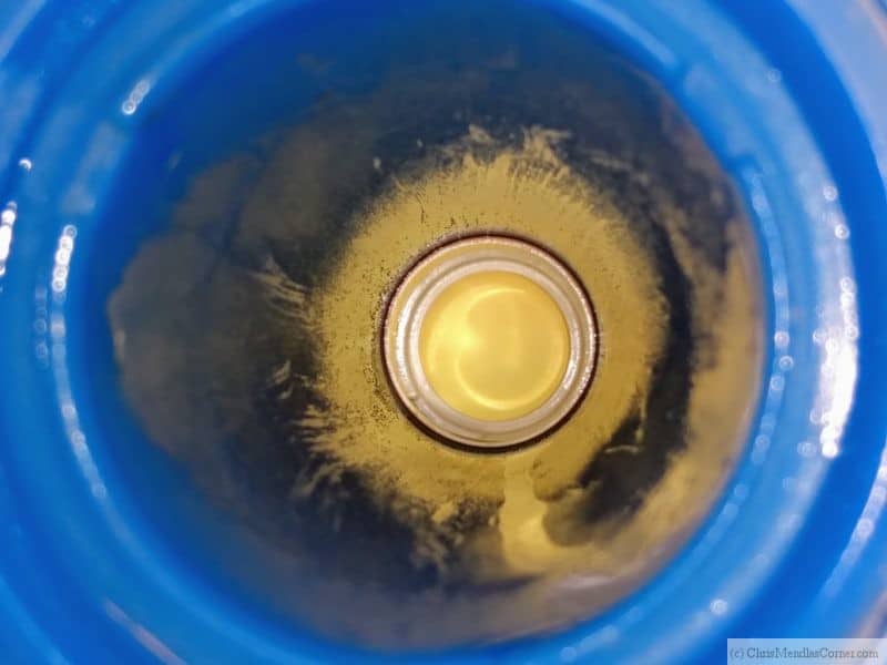 Algae and bacteria inside a humidifier tube