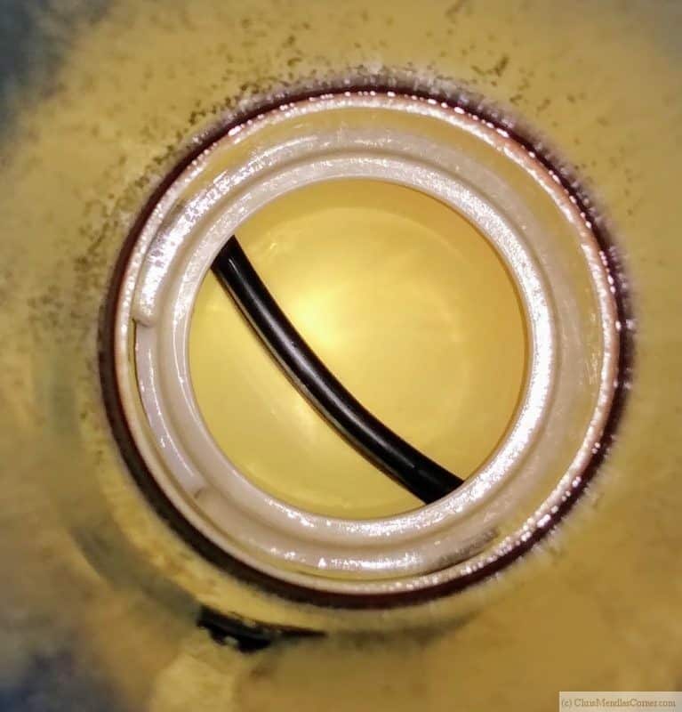 close up of algae and bacteria inside a humidifier tube